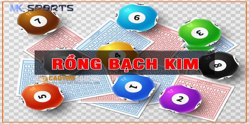 Rồng Bạch Kim Miền Bắc