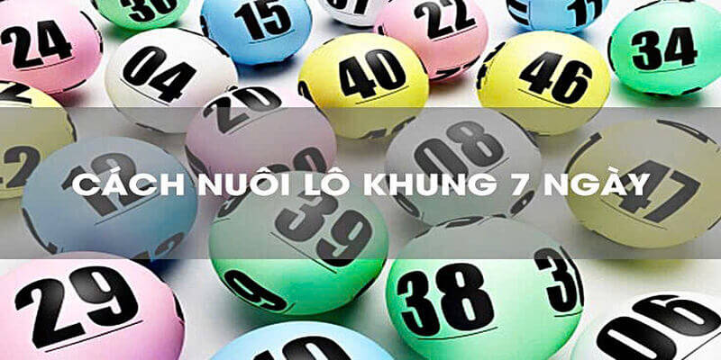 Khái niệm lô khung 7 ngày tại nhà cái mk sports